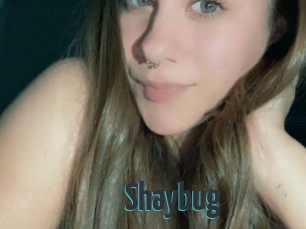 Shaybug