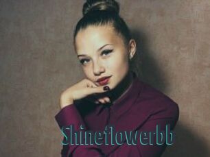 Shineflowerbb