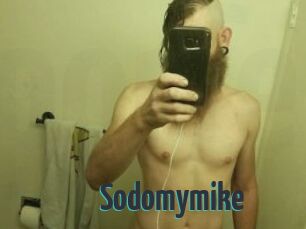 Sodomymike