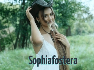 Sophiafostera