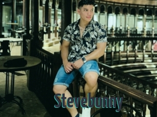Stevebunny