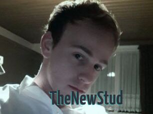 TheNewStud