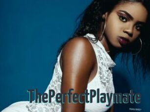 ThePerfectPlaymate