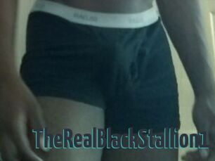 TheRealBlackStallion1