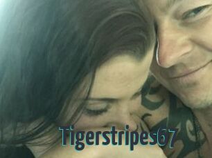 Tigerstripes67