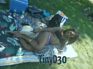 TinyD30