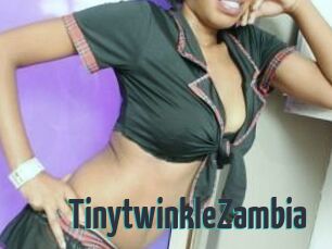 TinytwinkleZambia