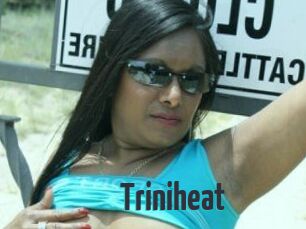 Triniheat