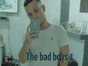 The_bad_boys_1