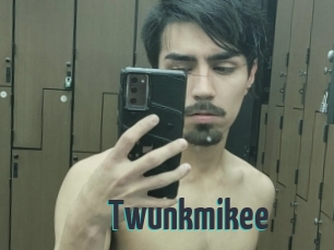 Twunkmikee