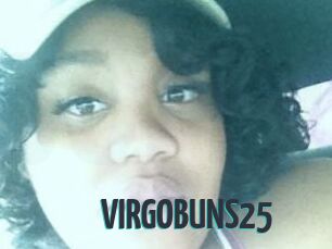 VIRGOBUNS25