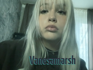 Vanesamarsh
