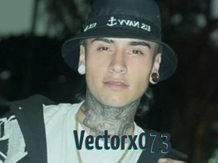 Vectorx073