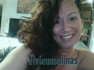 Vivienmolinas