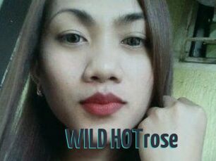 WILD_HOTrose