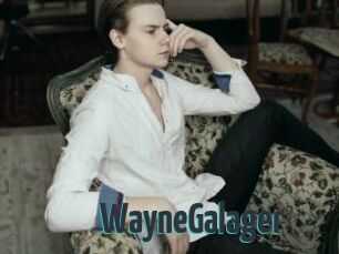 WayneGalager