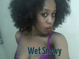 Wet_Snowy