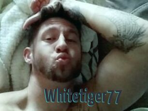 Whitetiger77