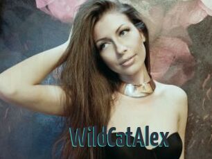 WildCatAlex