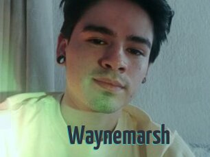 Waynemarsh