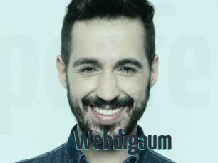Webdigaum