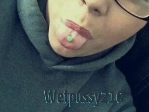 Wetpussy210