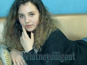 Whitneydiligent
