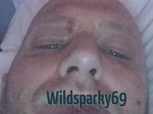 Wildsparky69