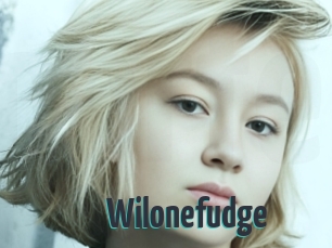 Wilonefudge