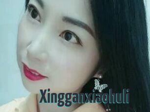 Xingganxiaohuli