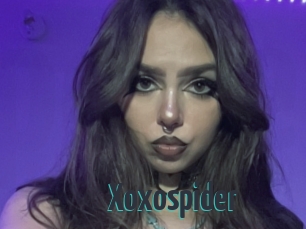 Xoxospider