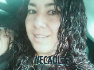YECAOL23