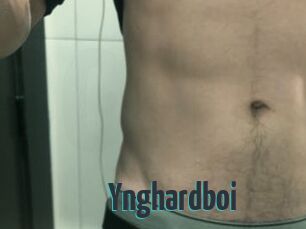 Ynghardboi