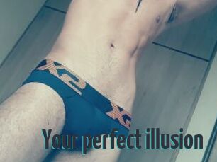Your_perfect_illusion