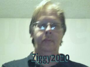 Ziggy2020