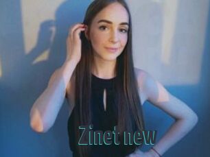 Zinet_new